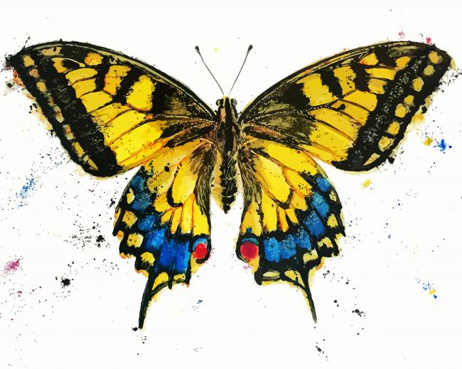Golden Butterfly Paint By Numbers