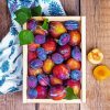 Fresh Fruit Plums Paint By Numbers