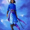 Stormlight Character Paint By Numbers