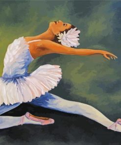 Swan Dancer Paint By Numbers
