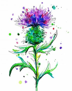 Colorful Thistle Paint By Numbers