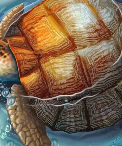 Turtle In Water Paint By Numbers