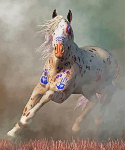 Warrior Appaloosa Paint By Numbers
