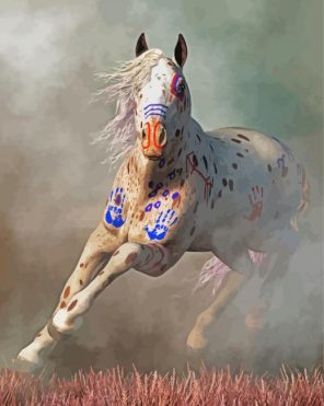 Warrior Appaloosa Paint By Numbers