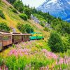 Alaska Railway Paint By Numbers