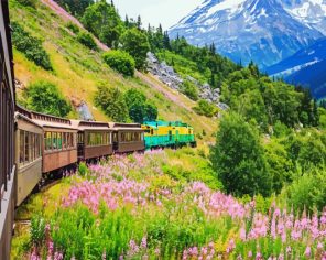Alaska Railway Paint By Numbers