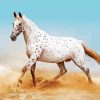 Artful Horse Paint By Numbers