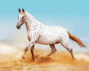 Artful Horse Paint By Numbers