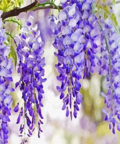 Aesthetic Wisteria Paint By Numbers