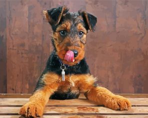 Cute Terrier Puppy Paint By Numbers
