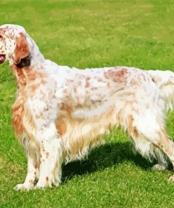 Dog Breed Paint By Numbers