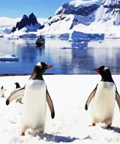 Antarctica Penguins Paint By Numbers