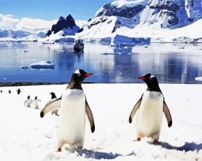 Antarctica Penguins Paint By Numbers