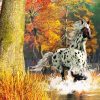 Running Appaloosa Paint By Numbers