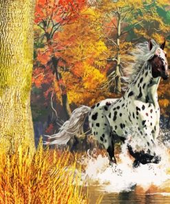 Running Appaloosa Paint By Numbers