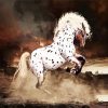 Appaloosa Paint By Numbers