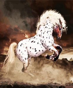 Appaloosa Paint By Numbers