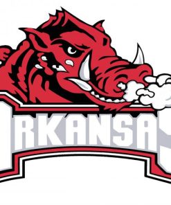 Arkansas Razorbacks Logo Paint By Numbers