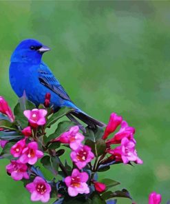 Cute Blue Birds Paint By Numbers