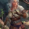 Artistic Ciri Paint By Numbers