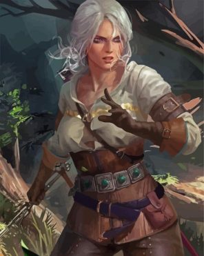 Artistic Ciri Paint By Numbers