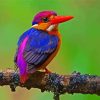Colorful Kingfisher Paint By Numbers