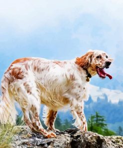 English Setter Paint By Numbers