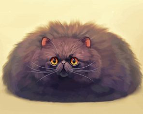 Fluffy Black Kitty Paint By Numbers