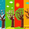 Four Season Illustration Paint By Numbers