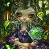 Jasmine Becket Fish Paint By Numbers
