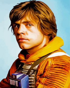 Luke Skywalker Paint By Numbers