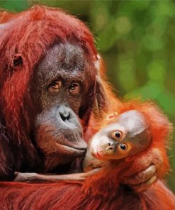 Orangutan With Baby Paint By Numbers