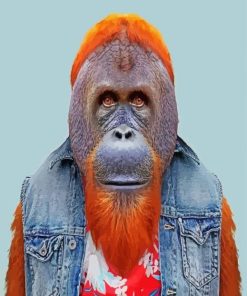 Orangutan Man Paint By Numbers