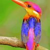 Cute Kingfisher Bird Paint By Numbers