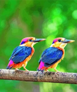 Cute Kingfisher Fowls Paint By Numbers