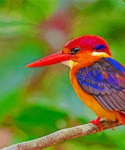 Little Kingfisher Paint By Numbers