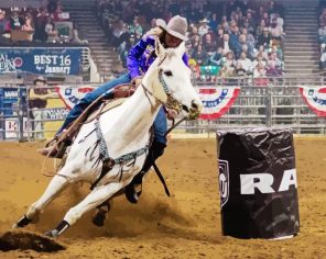 Rodeo Sport Paint By Numbers