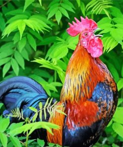 Adorable Rooster Paint By Numbers