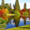 Sheffield Park Paint By Numbers