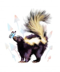 Skunk And Butterfly Paint By Numbers