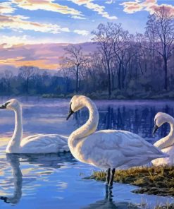 Cute Swans Paint By Numbers