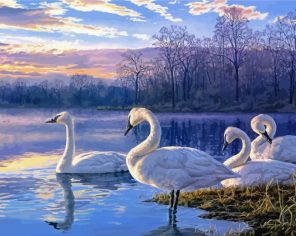 Cute Swans Paint By Numbers