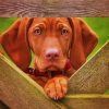 Vizsla Puppy Paint By Numbers