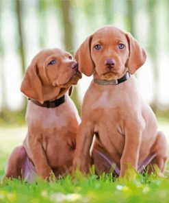 Vizsla Dogs Paint By Numbers