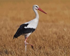 Aesthetic White Stork Paint By Numbers