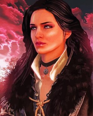 Yennefer Paint By Numbers
