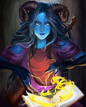 Wizard Lady Paint By Numbers