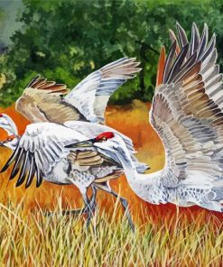 White Crane Birds Paint By Numbers