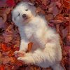 Cute Great Pyrenees Paint By Numbers
