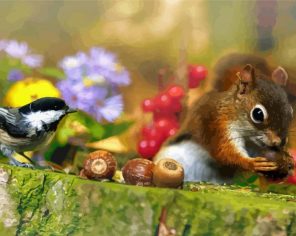 Squirrel And Tit Bird Paint By Numbers